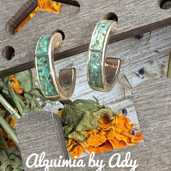 Gold abalone Earrings - Picture 1 of 1